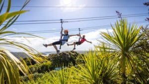 Two people ziplining side-by-side through forest canopy on Waiheke Island