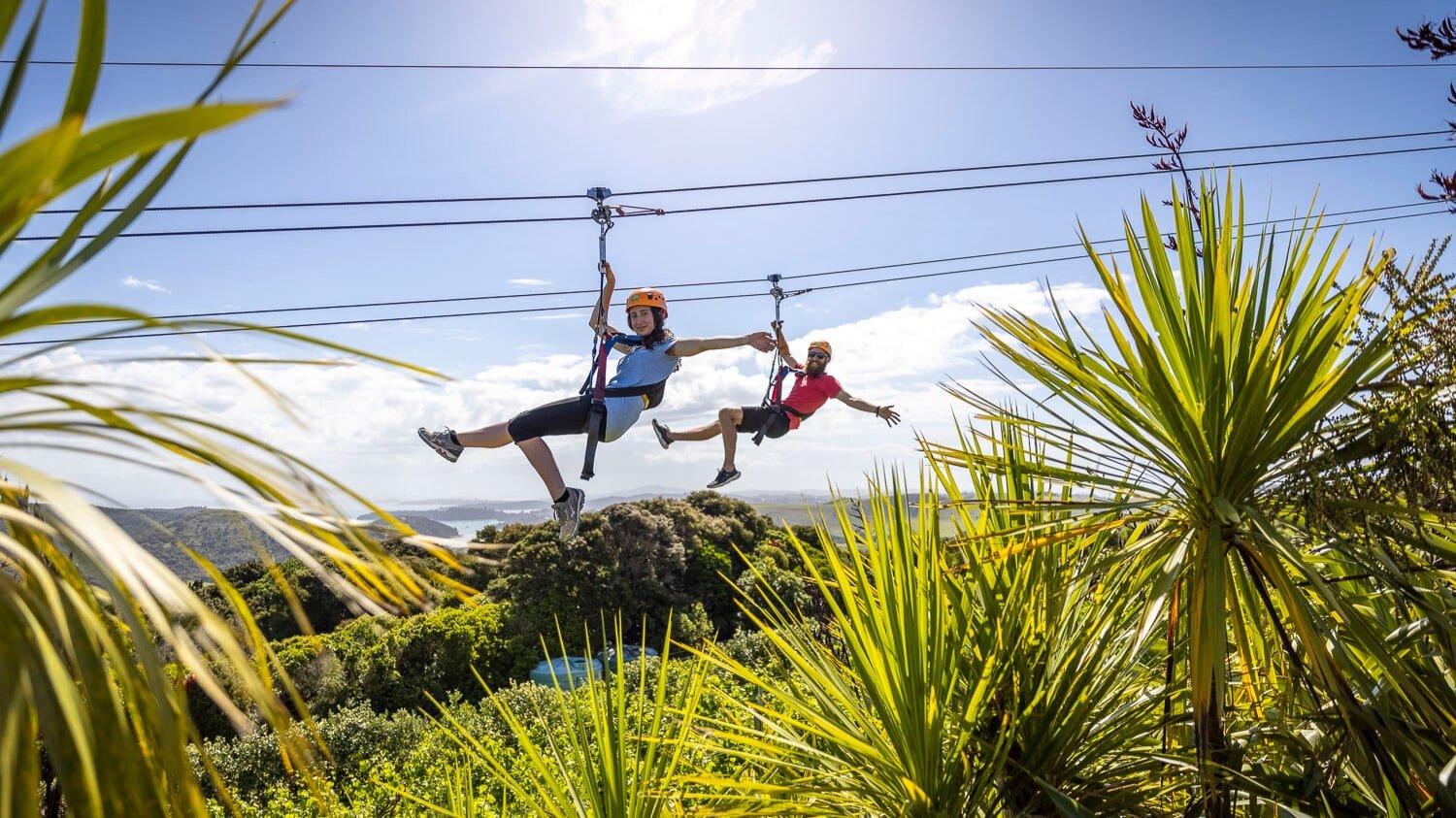 Two people ziplining side-by-side through forest canopy on Waiheke Island