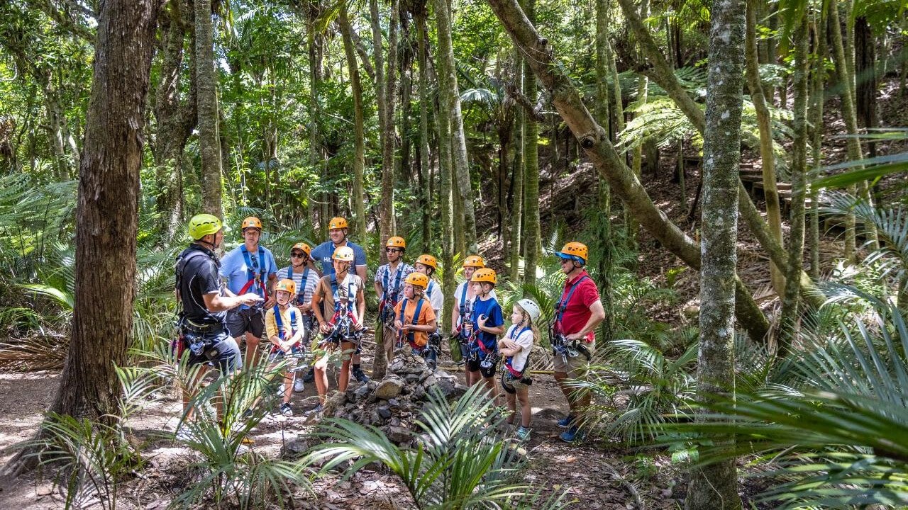 Tour guide giving a safety briefing to participants before ziplining in native bush on Waiheke Island