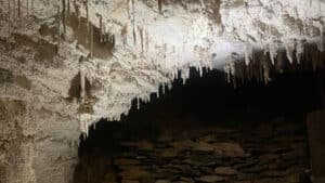 Glowworms illuminating the Waitomo Caves with stunning crystal formations above