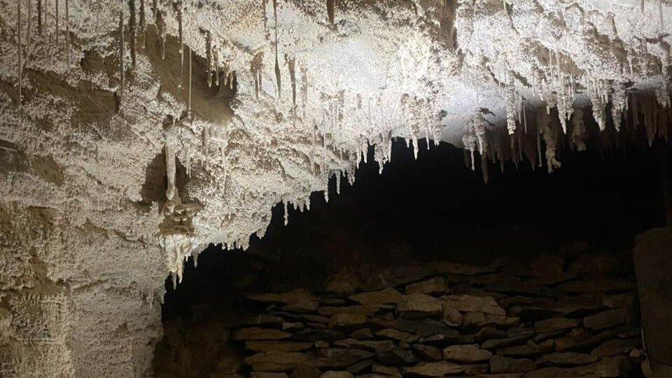 Glowworms illuminating the Waitomo Caves with stunning crystal formations above