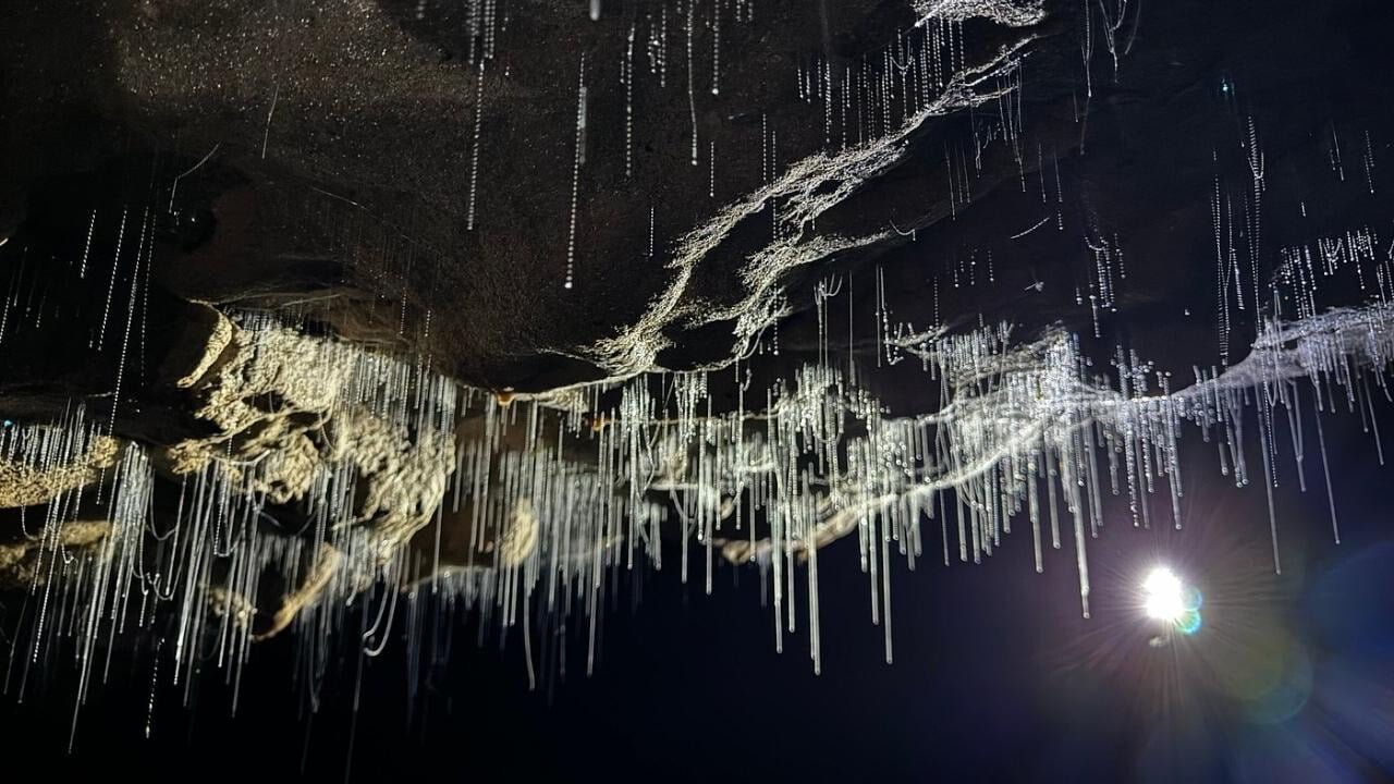 Golden-hued stalactites and stalagmites dripping inside Waitomo Glow Worm Caves