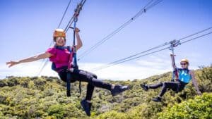 Two people ziplining side-by-side through the forest on Waiheke Island