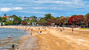 People walking, sitting, playing and swimming at Mission Bay beach during Auckland city small group tour