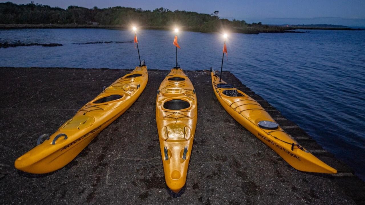 Three kayaks lined up on the shore ready for a night tour with Auckland city lights in the distance