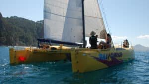 Catamaran sailing cruise exploring the bays around Flaxmill Bay on the Coromandel Peninsula