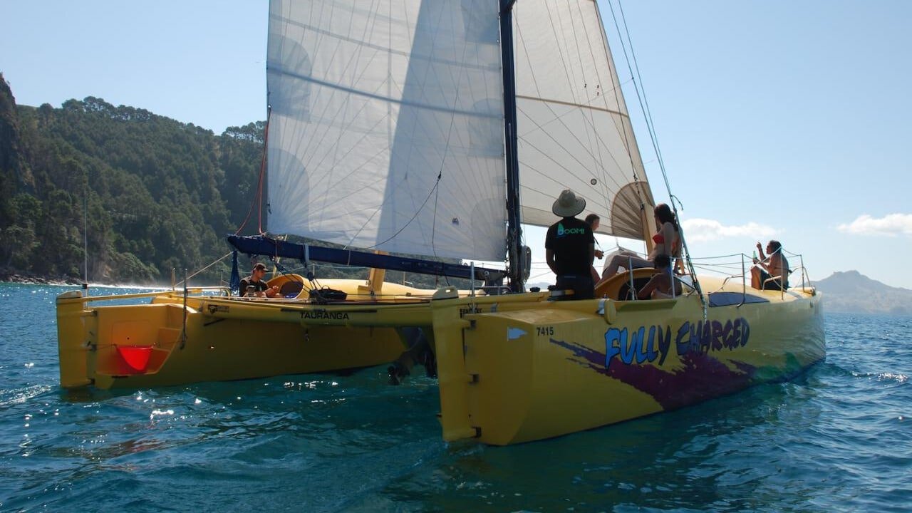 Catamaran sailing cruise exploring the bays around Flaxmill Bay on the Coromandel Peninsula