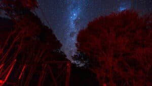 Person gazing up at a clear night sky filled with stars and the Milky Way in Kaikōura