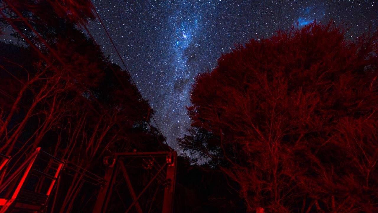 Person gazing up at a clear night sky filled with stars and the Milky Way in Kaikōura